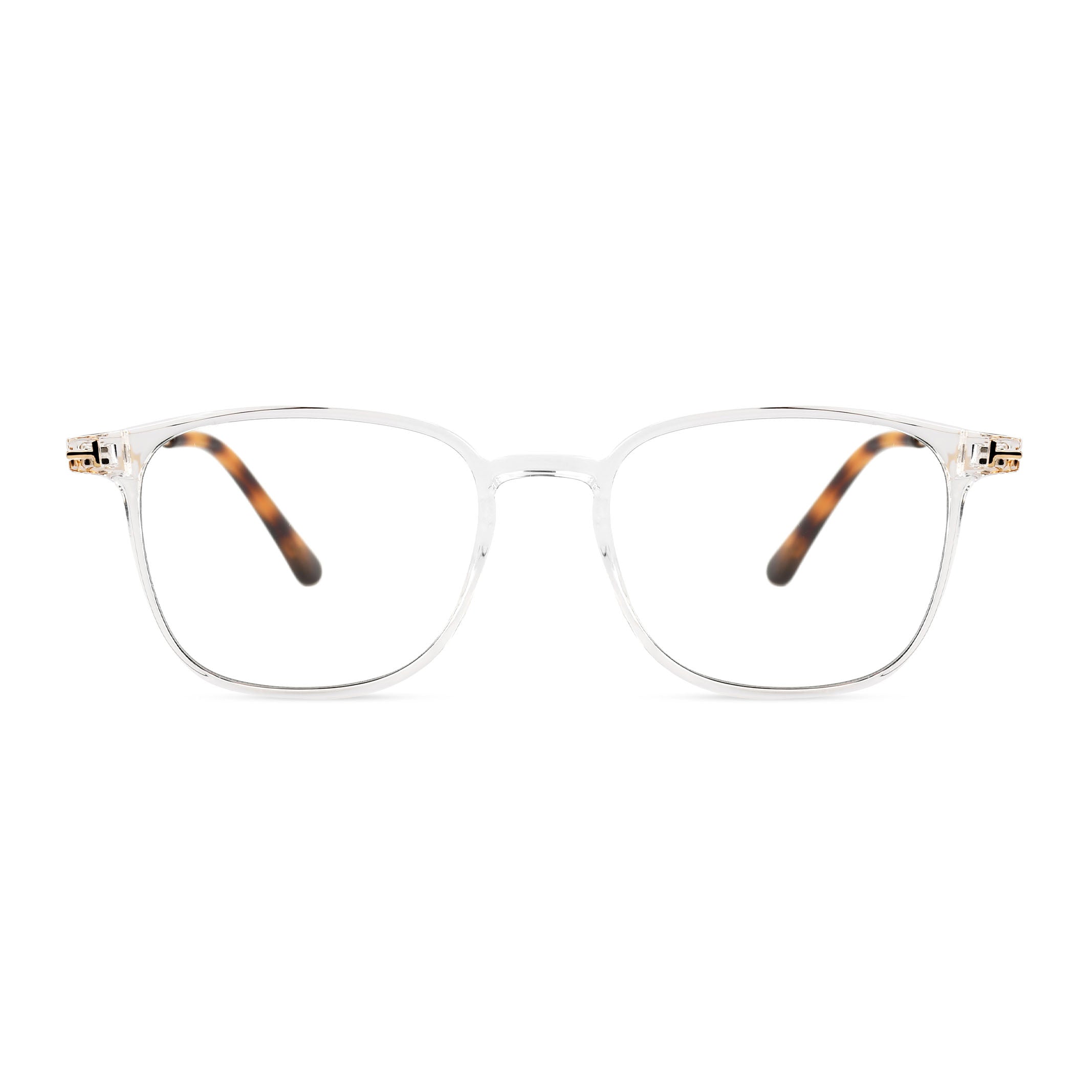 Corvus Transparent Gold