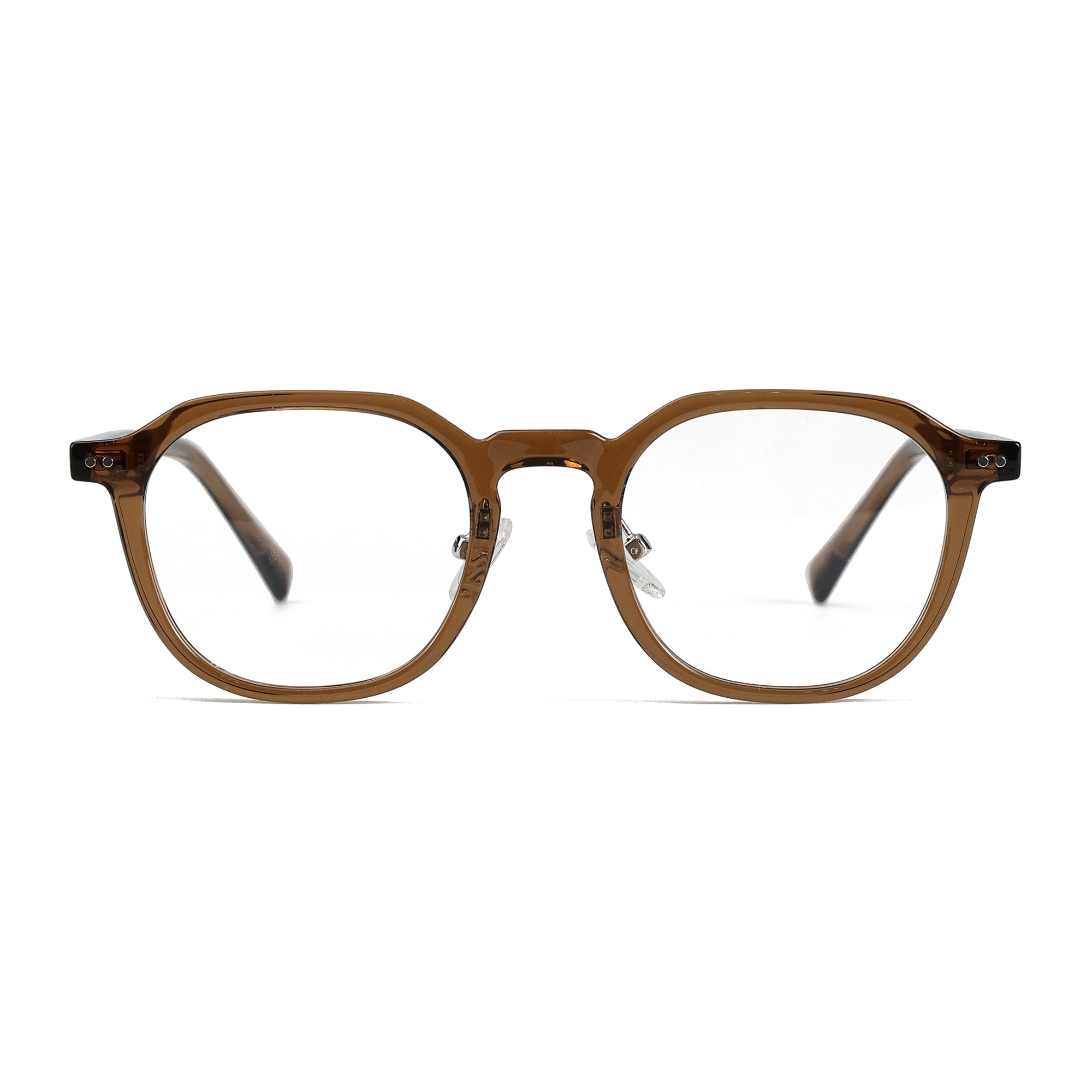 Hydra Brownish