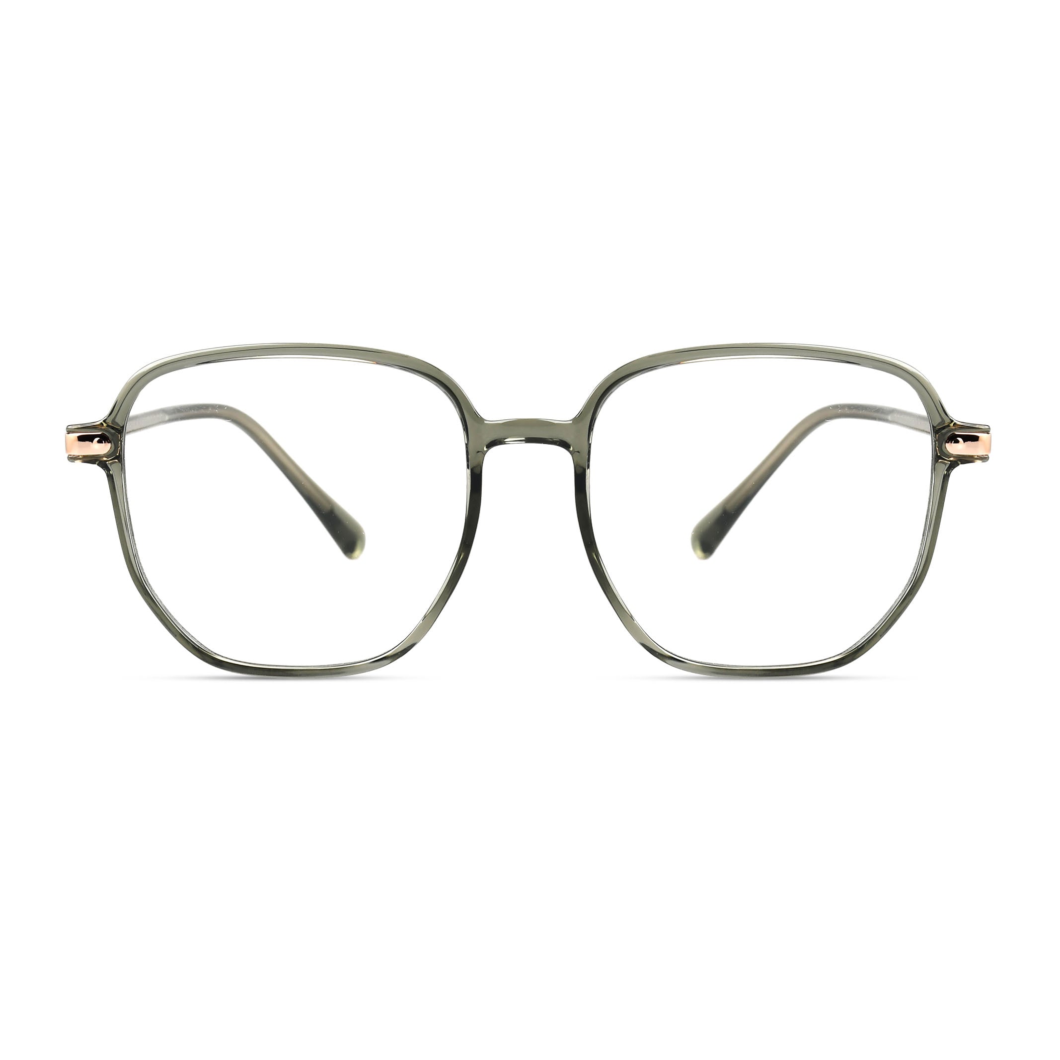 Rigel Olive