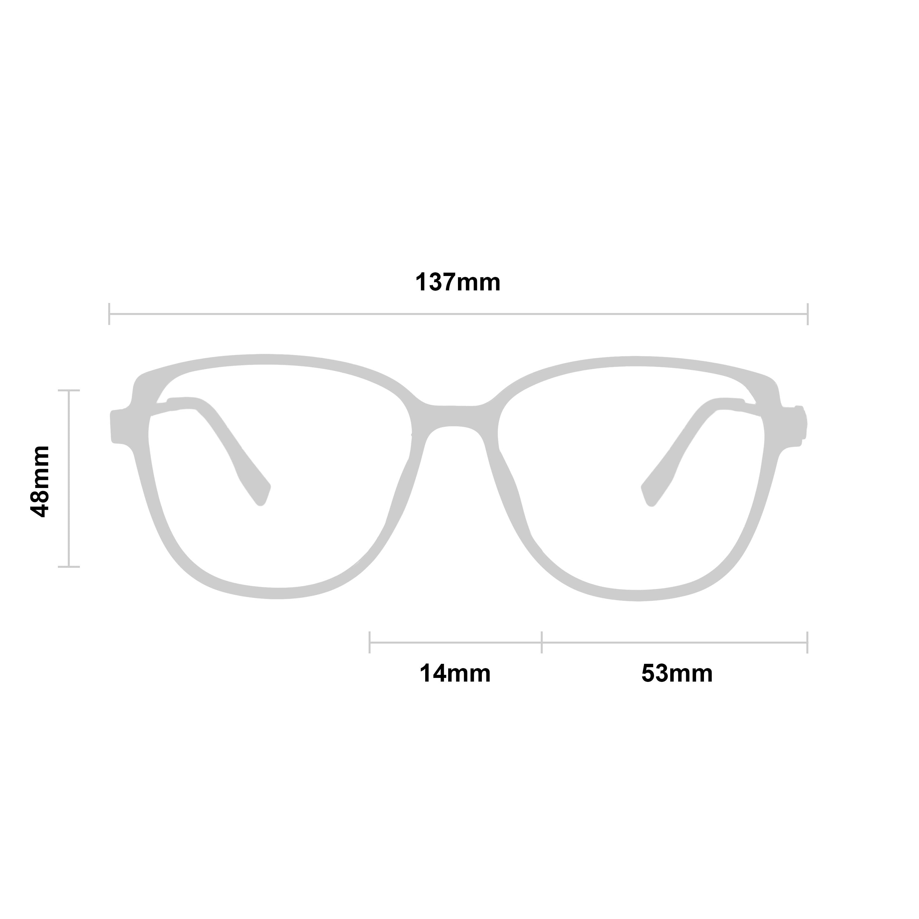 Stella Transparent Brown Silver